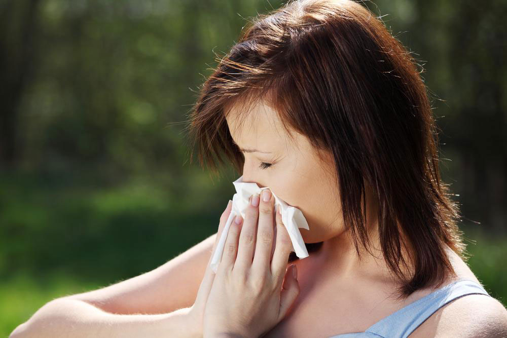 Everything You Need to Know about Mold Allergies